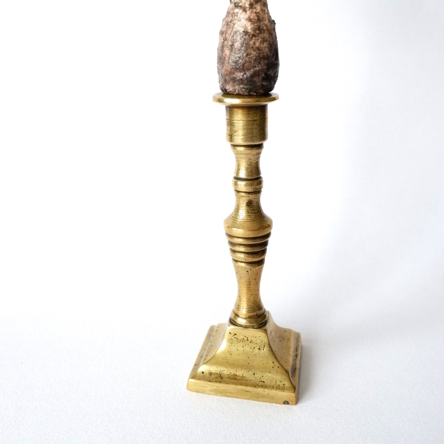 Miniature Candlestick Mushroom - Parasol