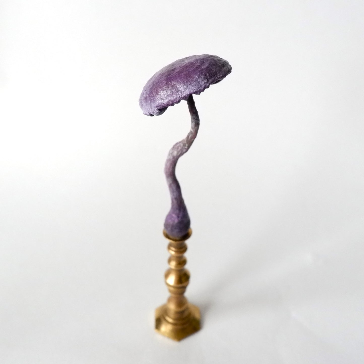 Miniature Candlestick Mushroom - Amethyst Deceiver