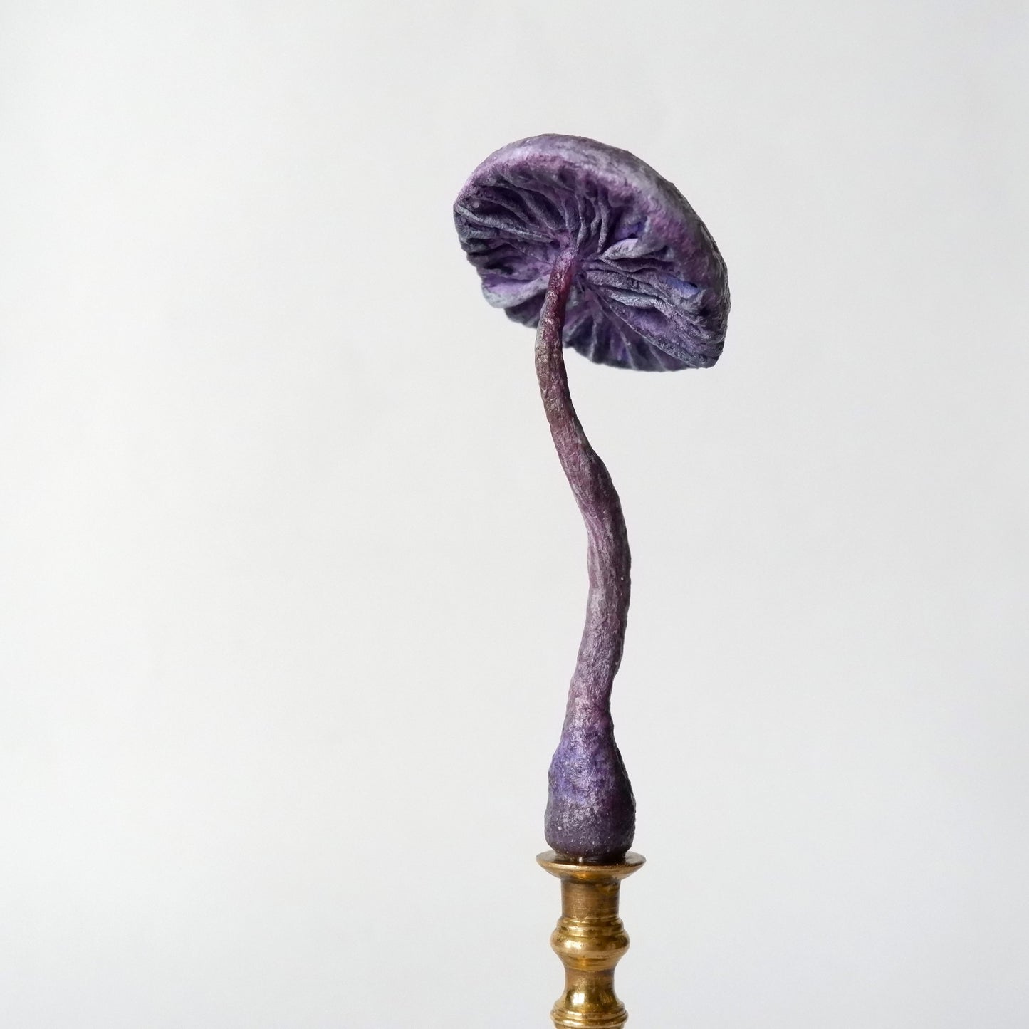 Miniature Candlestick Mushroom - Amethyst Deceiver