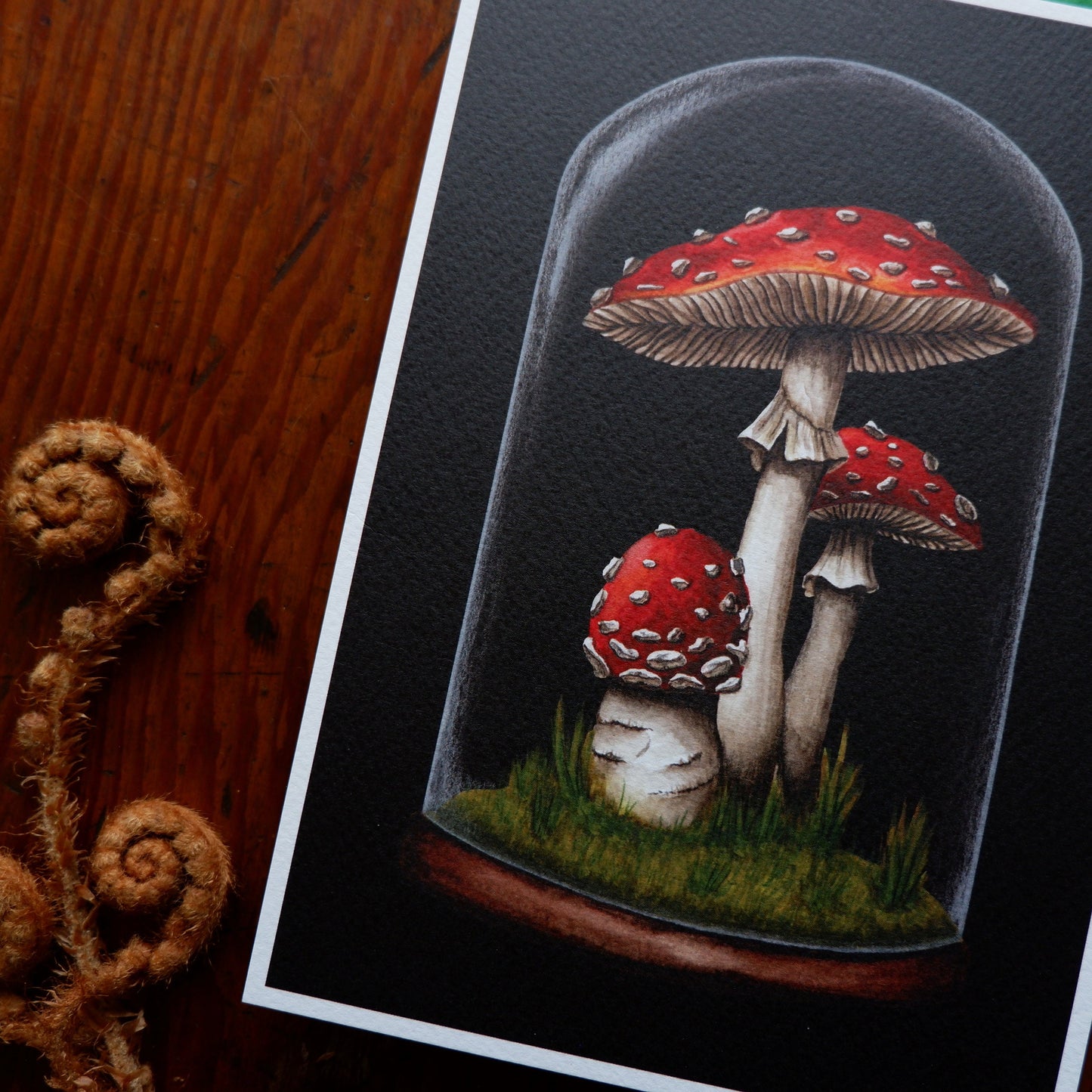 A5 Amanita Toadstool Mushroom Fly Agaric Bell Jar Cloche Art Print