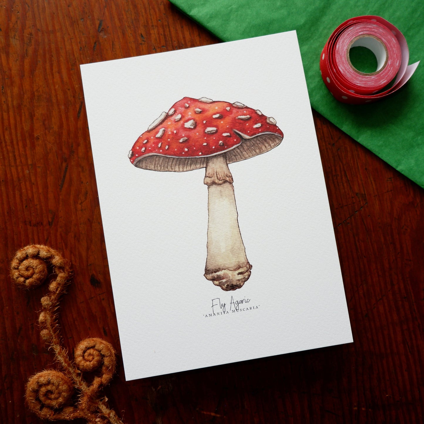 Fly Agaric Amanita Muscaria A5 Print