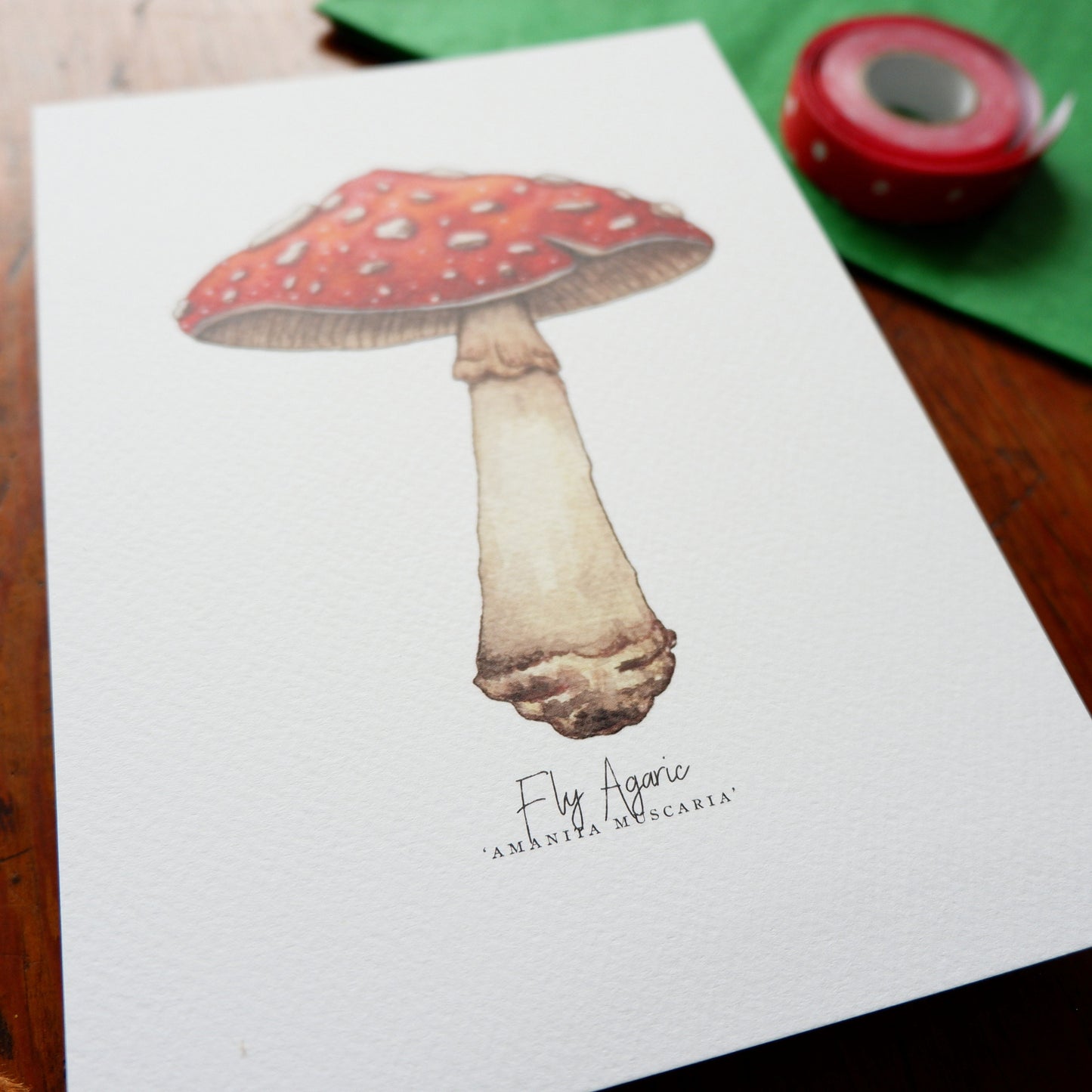 Fly Agaric Amanita Muscaria A5 Print