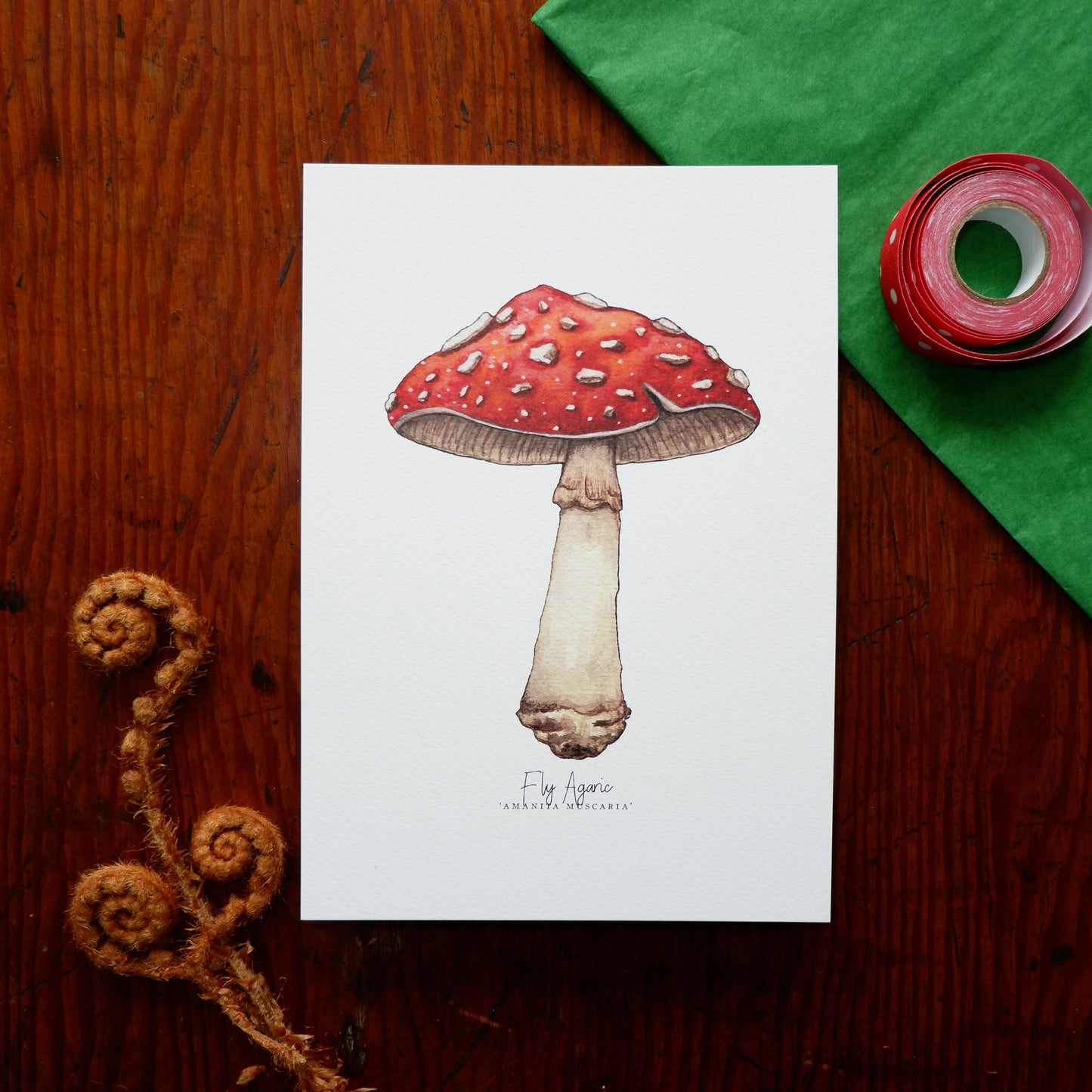 Fly Agaric Amanita Muscaria A5 Print