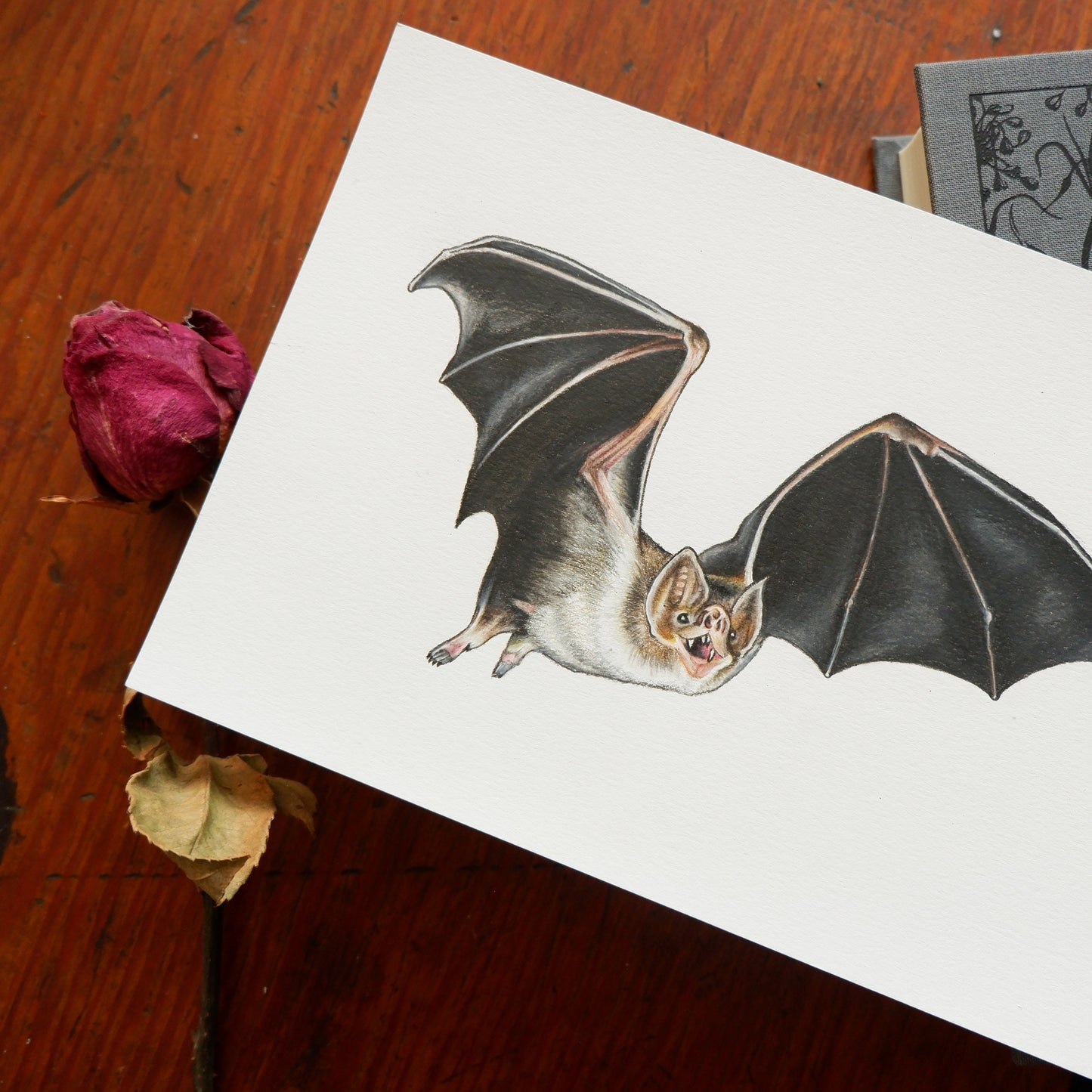 Bat A5 Signed Print