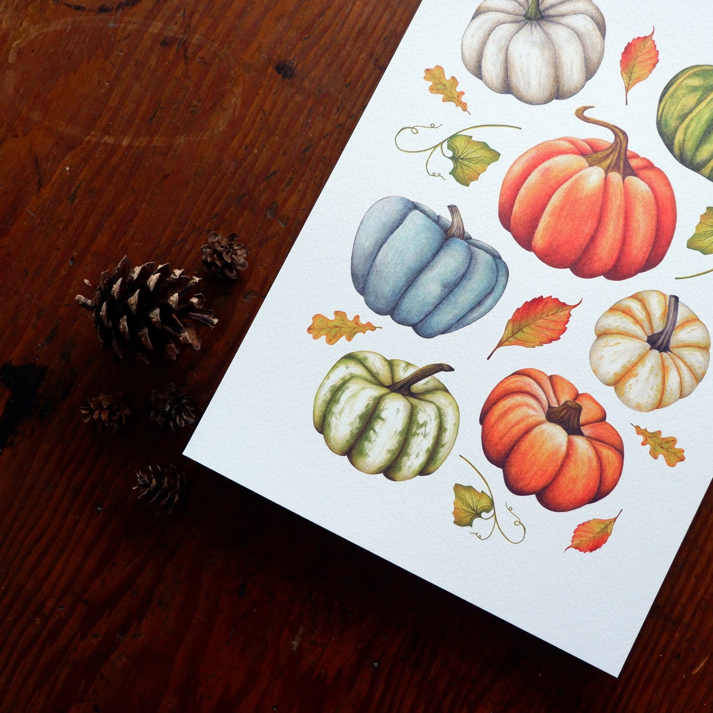 Pumpkin A4 A5 Print