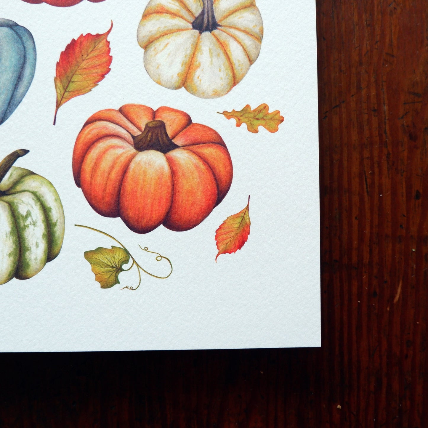 Pumpkin A4 A5 Print