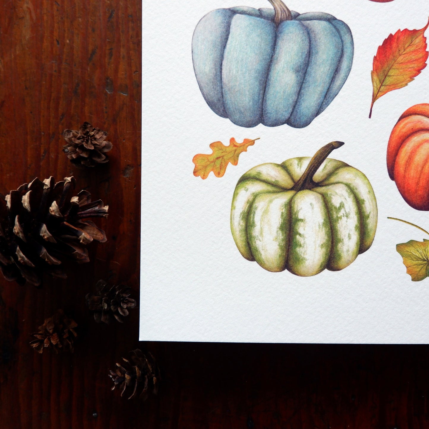 Pumpkin A4 A5 Print