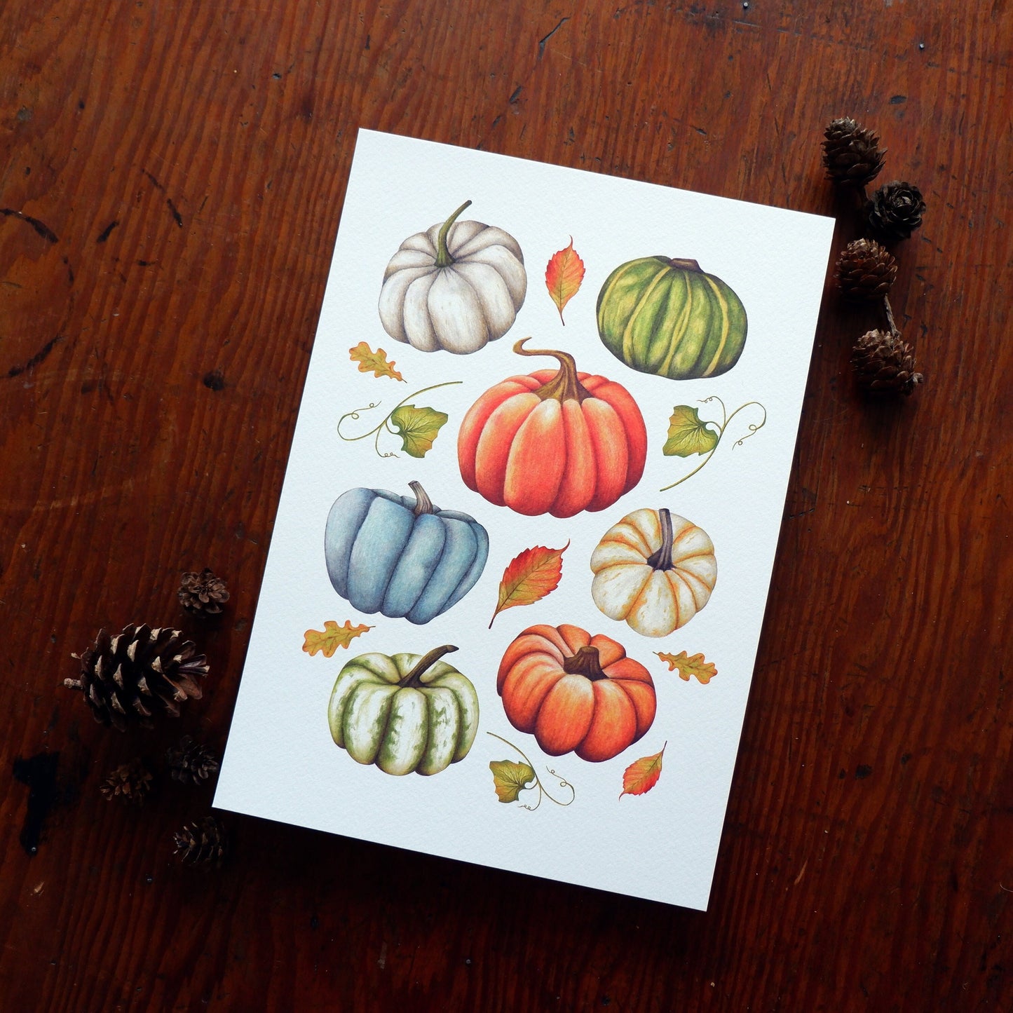 Pumpkin A4 A5 Print