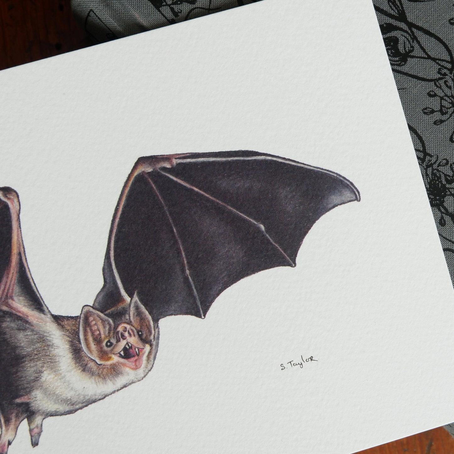 Bat A5 Signed Print