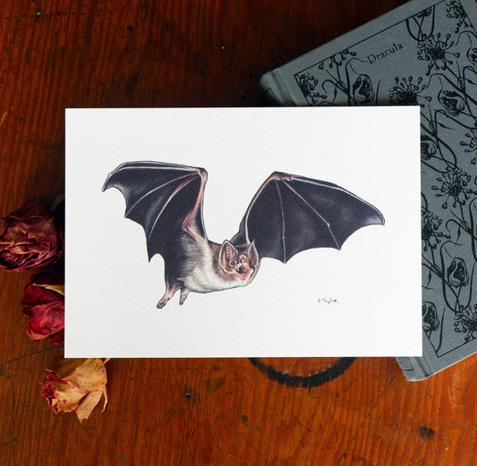 Bat A5 Signed Print