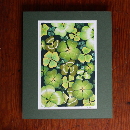 'Clover Bloom' Original Signed & Mounted Coloured Pencil Drawing